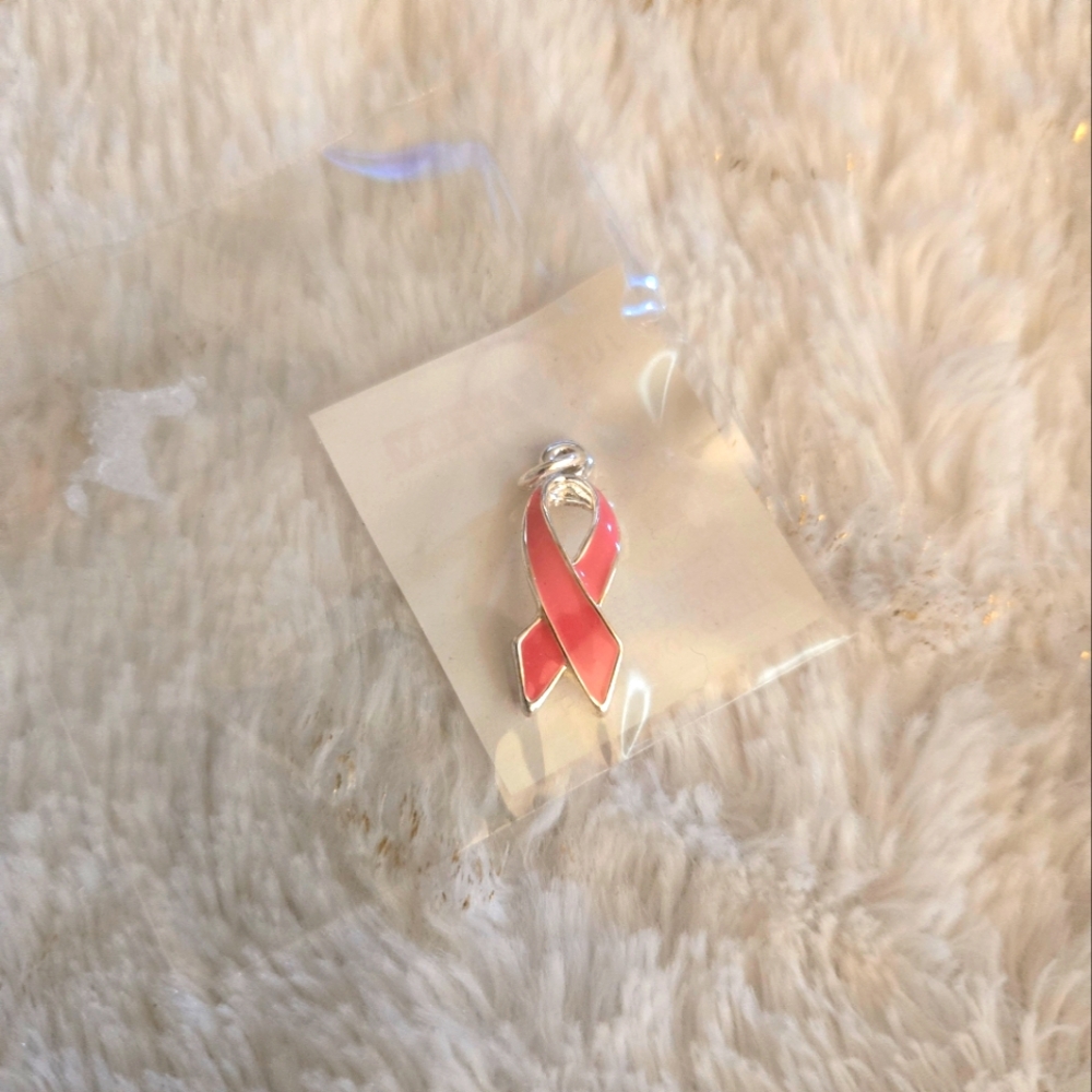 **3/$10** Silver and Pink Awareness Ribbon charm